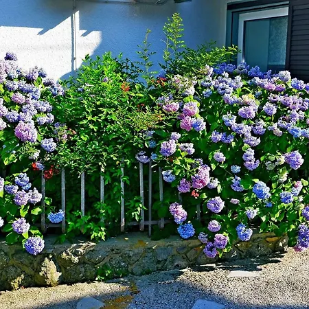 Ivone - 5 Stars * Matulji