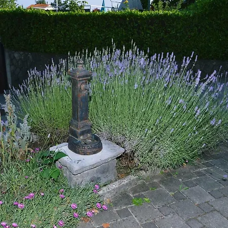 Ivone - 5 Stars * Matulji